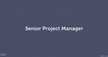 Senior project manager