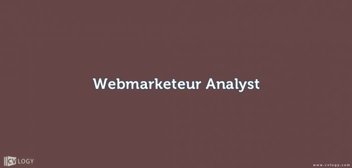 Webmarketeur Analyst