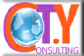 TY Consulting