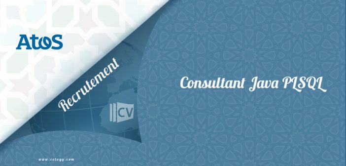 Consultant Java PLSQL