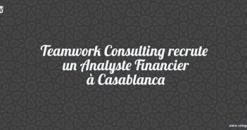 Teamwork-Consulting-recrute-un-Analyste-Financier