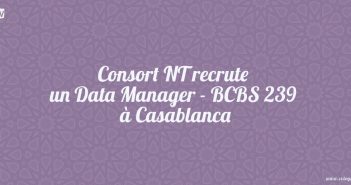 Consort NT recrute un Data Manager - BCBS 239 à Casablanca