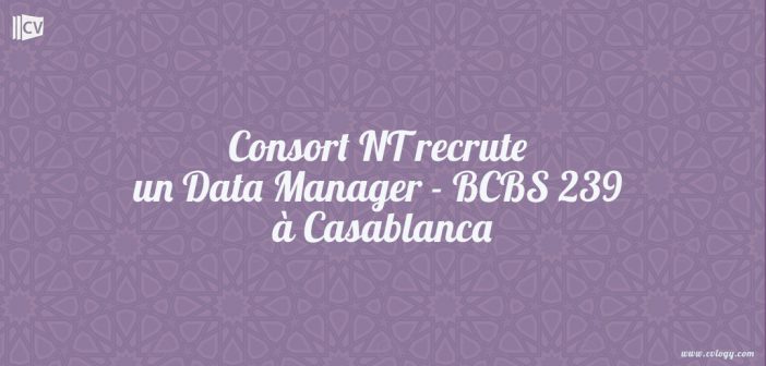 Consort NT recrute un Data Manager - BCBS 239 à Casablanca