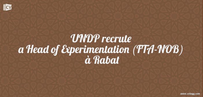 UNDP recrute a Head of Experimentation (FTA-NOB) à Rabat