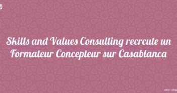 Skills and Values Consulting recrute