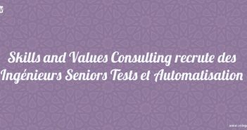 Skills and Values Consulting recrute des Ingénieurs Seniors Tests et Automatisation