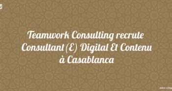 Consultant(E) Digital Et Contenu