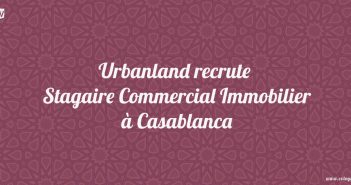 Stagaire Commercial Immobilier