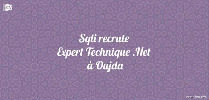 Expert Technique .Net (Oujda)