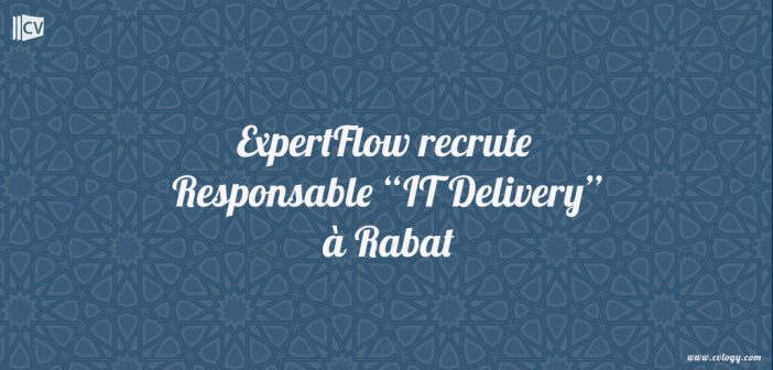 Responsable “IT Delivery”