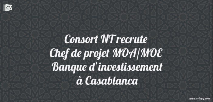 Chef de projet MOA/MOE - Banque d’investissement