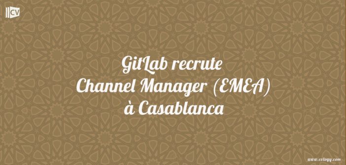Channel Manager (EMEA)