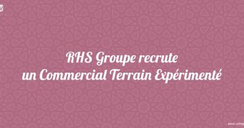 RHS Groupe recrute un Commercial Terrain Expérimenté