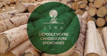 Cema Bois de l'Atlas