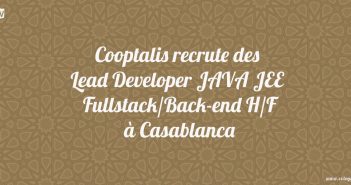 Lead Developer JAVA JEE Fullstack/Back-end H/F