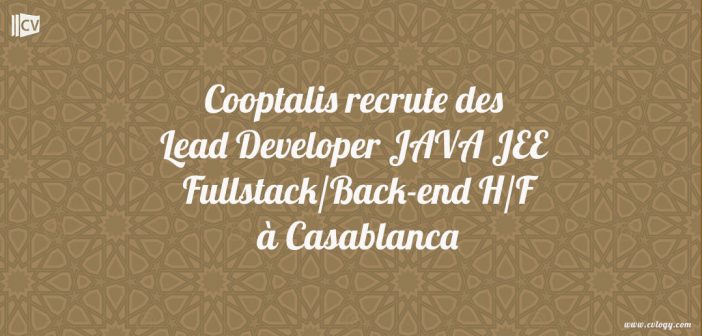 Lead Developer JAVA JEE Fullstack/Back-end H/F