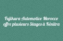 Fujikura Automotive Morocco offre plusieurs Stages