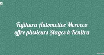 Fujikura Automotive Morocco offre plusieurs Stages
