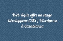 Développeur CMS / Wordpress