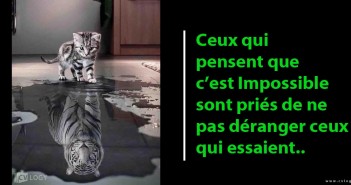 Ceux qui pensent que c’est Impossible