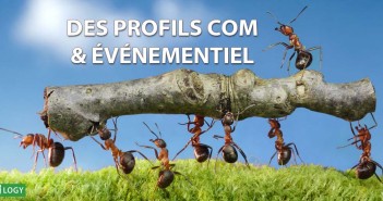 Emploi Rapp Maroc