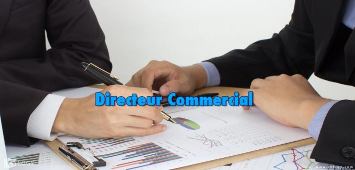 Directeur Commercial Maroc