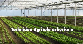 Poste Technicien Agricole arboricole