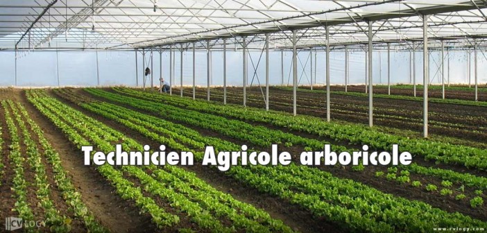 Poste Technicien Agricole arboricole