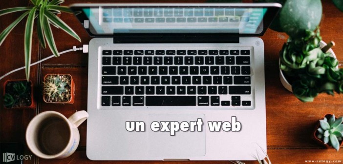 Recrutement expert web Maroc