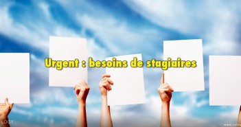 stagiaires chez MAASEZ