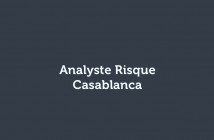 Analyste Risque