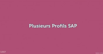 Plusieurs Profils SAP