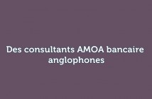 consultants AMOA bancaire anglophones
