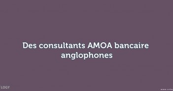 consultants AMOA bancaire anglophones