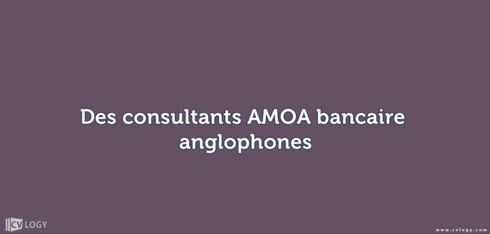 consultants AMOA bancaire anglophones