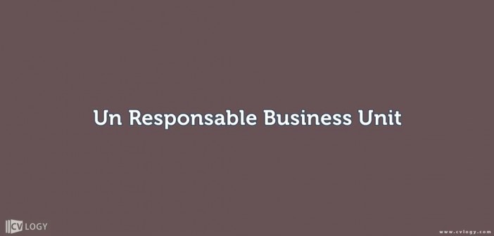 un Responsable Business Unit