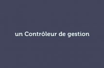 Contrôleur de gestion