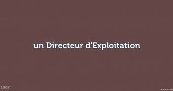 Directeur d'Exploitation