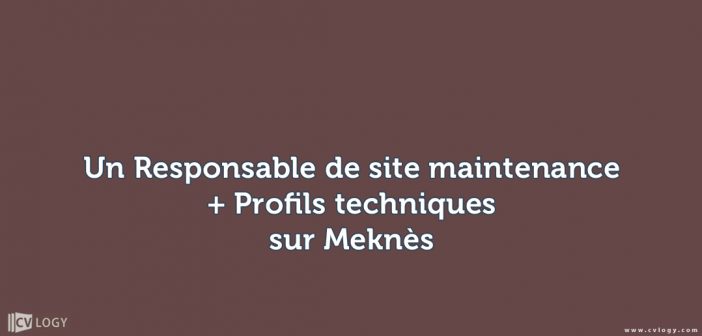 Un Responsable de site maintenance