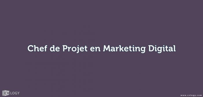 chef de projet en marketing digital