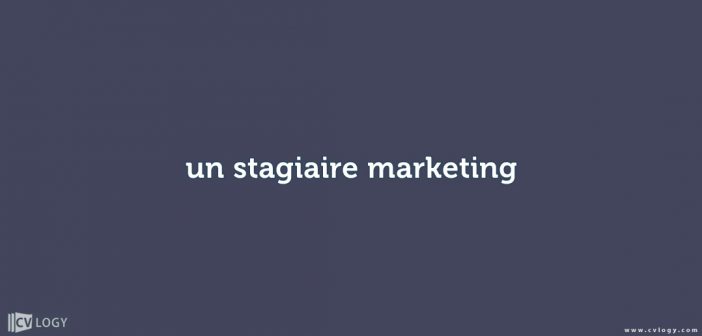 un stagiaire marketing