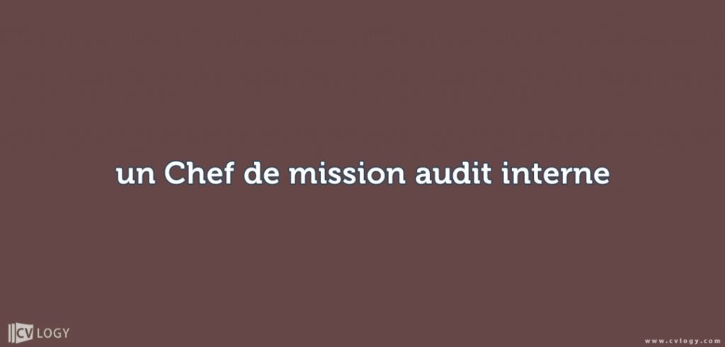 un Chef de mission audit interne