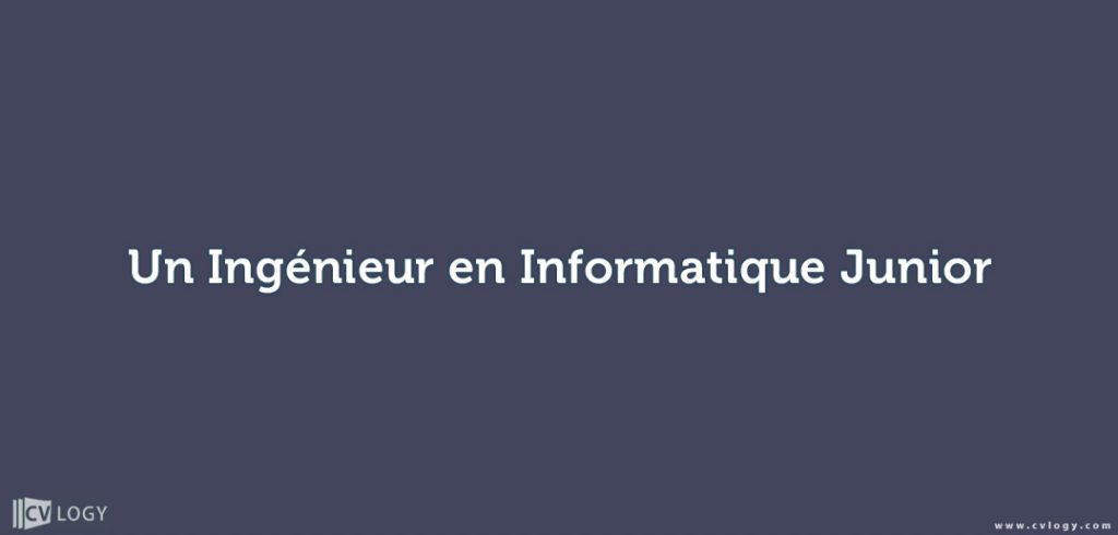 Ingénieur Informatique Junior