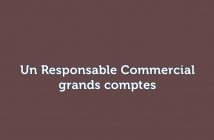 un Responsable Commercial grands comptes