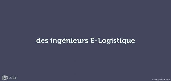 des ingénieurs E-Logistique