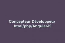Concepteur Développeur Technopolis