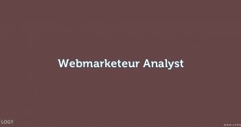 Webmarketeur Analyst