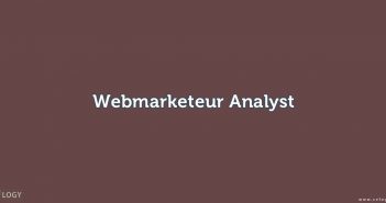 Webmarketeur Analyst