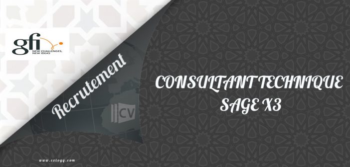 CONSULTANT TECHNIQUE SAGE X3