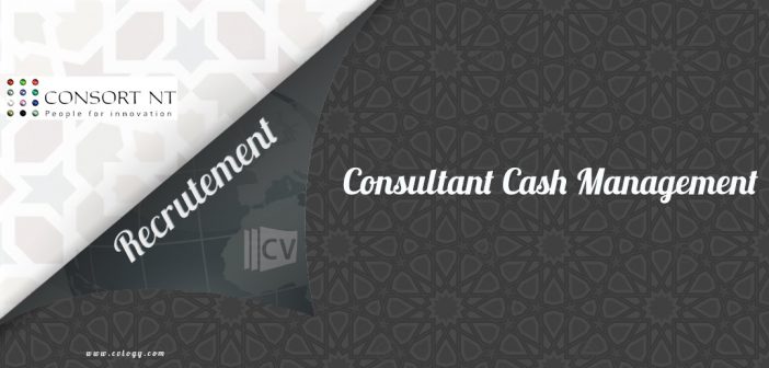 Consultant Cash Management